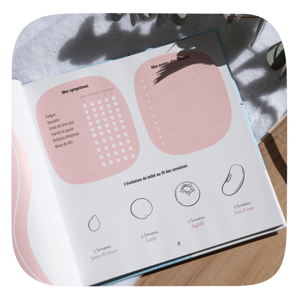 livre de grossesse ouvert sur une page dans les tons rose pastel avec des parties pour décrire les symptômes, les envies alimentaires et la taille du bébé selon les semaines de grossesse